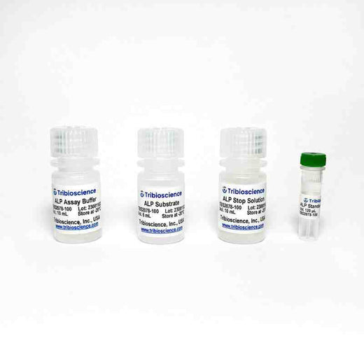Alkaline Phosphatase Activity Fluorometric Assay Kit