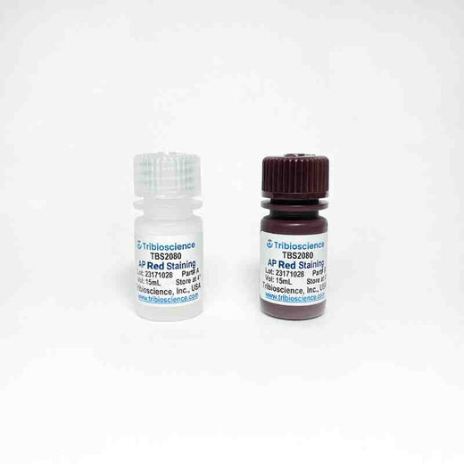 Alkaline Phosphatase Red Staining Kit
