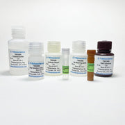 BrdU Cell Proliferation Colorimetric Assay Kit