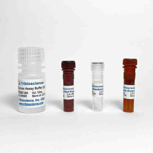 Fast Glucose Determination Assay (Colorimetric/Fluorometric) Kit