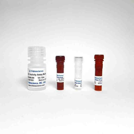 Fast Glucose Oxidase Activity Assay (Colorimetric/Fluorometric) Kit