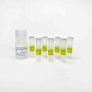 Homocysteine Assay (Colorimetric / Fluorometric) Kit