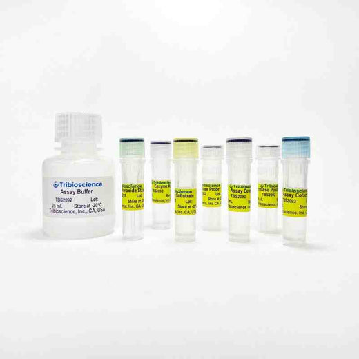 Enolase Activity Assay (Colorimetric / Fluorometric) Kit