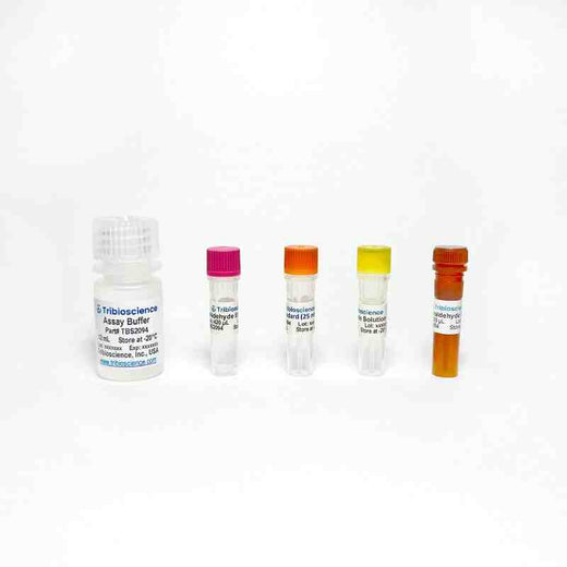 Acetaldehyde Assay Kit (Fluorometric)