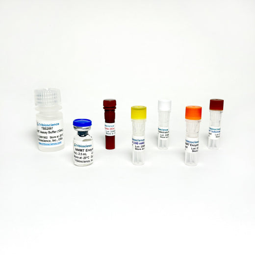 NNMT Inhibitor Screening Assay Kit