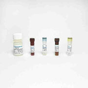 Tryptase Activity Assay Kit