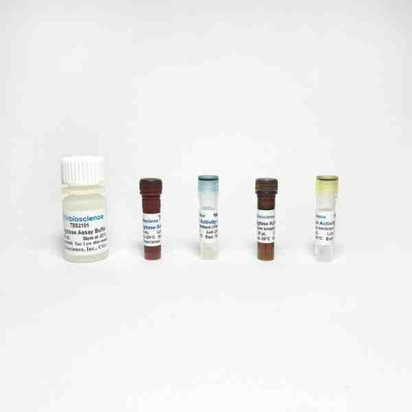 Tryptase Activity Assay Kit