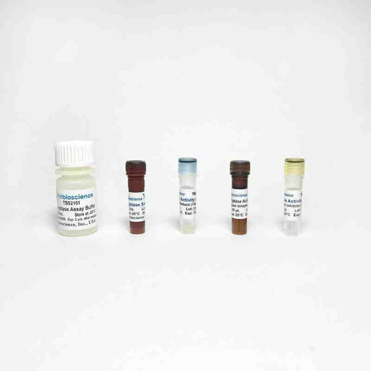 Tryptase Activity Assay Kit