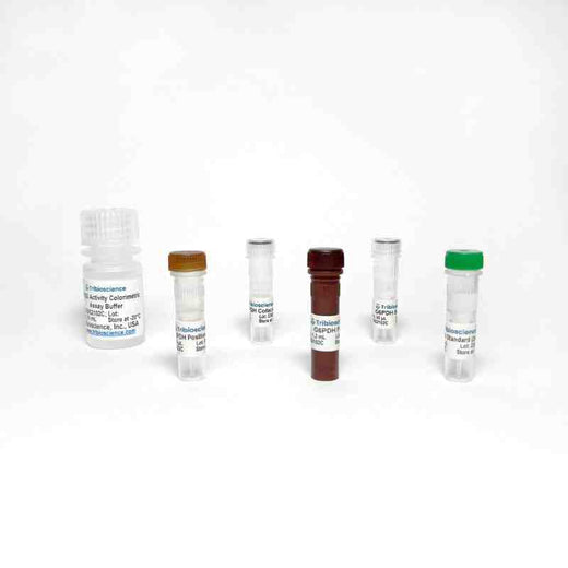 Glucose-6-Phosphate Dehydrogenase Activity Colorimetric Assay Kit