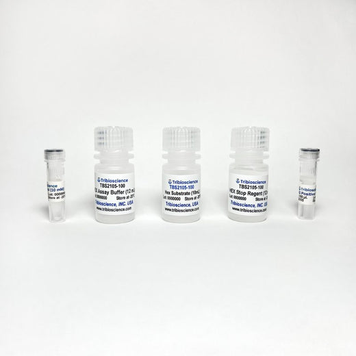 Beta-N-Acetylglucosaminidase (Beta-NAG) Activity Colorimetric Assay Kit