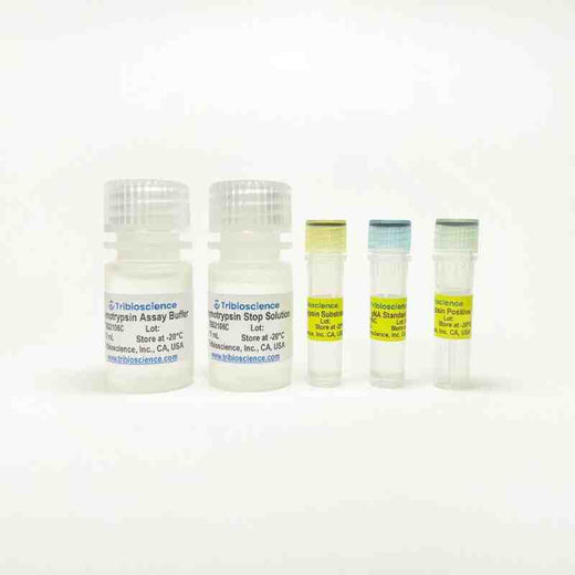 Chymotrypsin Activity Colorimetric Assay Kit