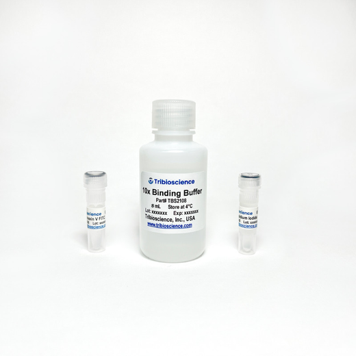 Annexin V-FITC/PI Apoptosis Kit
