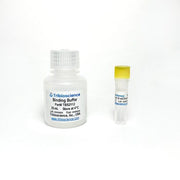 Annexin V-mCherry Apoptosis Assay Kit