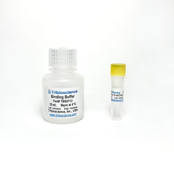 Annexin V-mCherry Apoptosis Assay Kit
