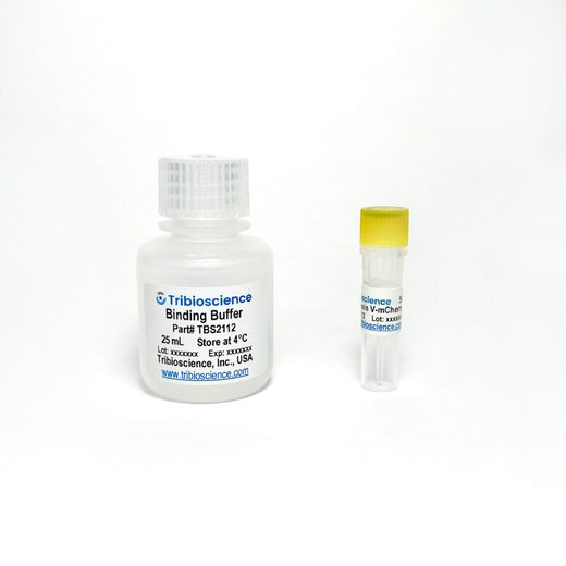 Annexin V-mCherry Apoptosis Assay Kit
