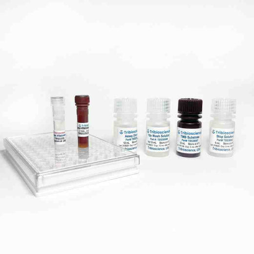 Total Aflatoxin Fast ELISA (for plants, cannabis, and herbs) Kit