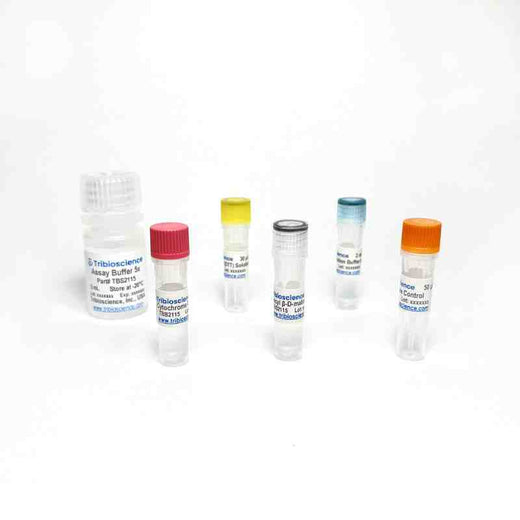 Cytochrome C Oxidase Activity Assay Kit