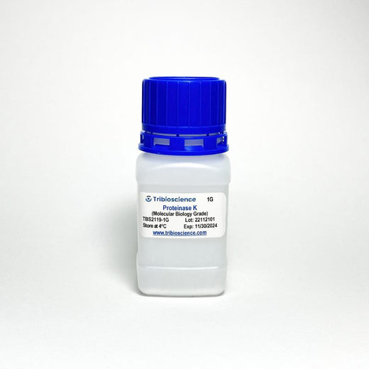 Proteinase K, Lyophilized Powder, Molecular Biology Grade Kit