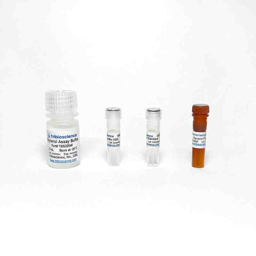 Glycerol Fluorometric Assay Kit