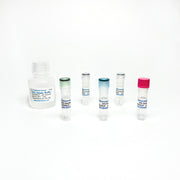 2-Phosphoglycerate Colorimetric / Fluorometric Assay Kit