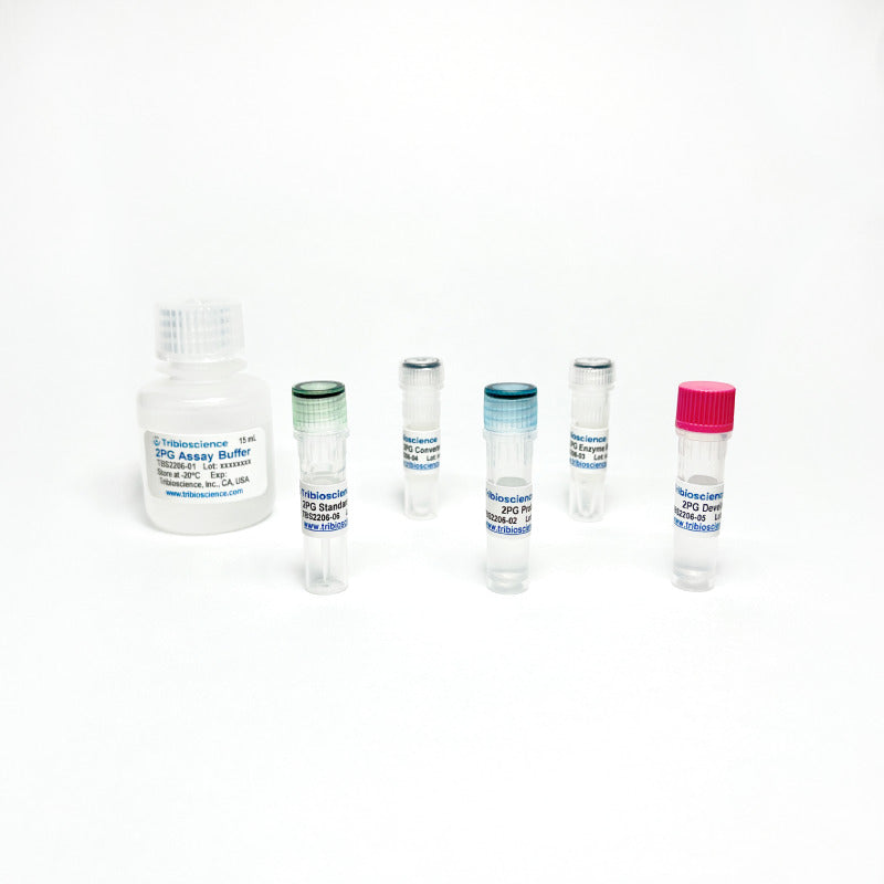 2-Phosphoglycerate Colorimetric / Fluorometric Assay Kit