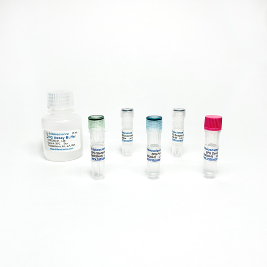 2-Phosphoglycerate Colorimetric / Fluorometric Assay Kit