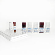 Rat TNF-alpha ELISA One-Step Kit