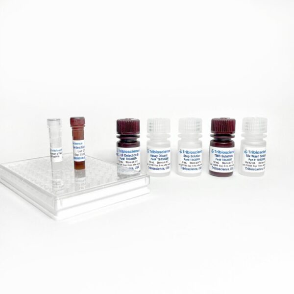 Rat IL-1β ELISA One-Step Kit
