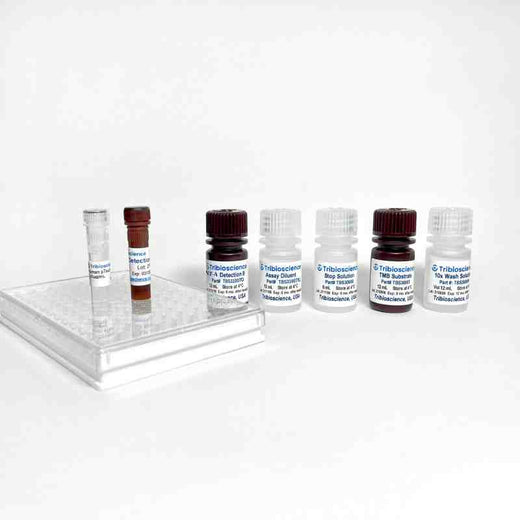Botulinum Neurotoxin Type A (BoNT-A) ELISA One-Step Kit