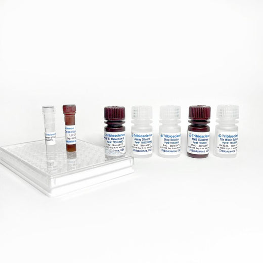 Botulinum Neurotoxin Type E (BoNT-E) ELISA One-Step Kit