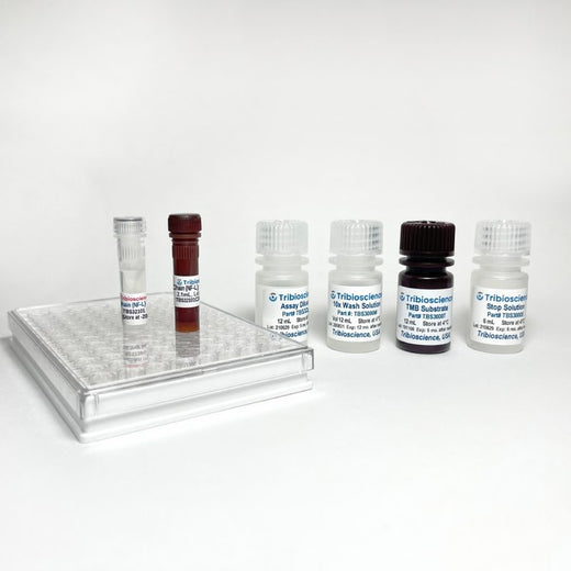 Human Neurofilament-Light Chain (NF-L) ELISA One-Step Kit