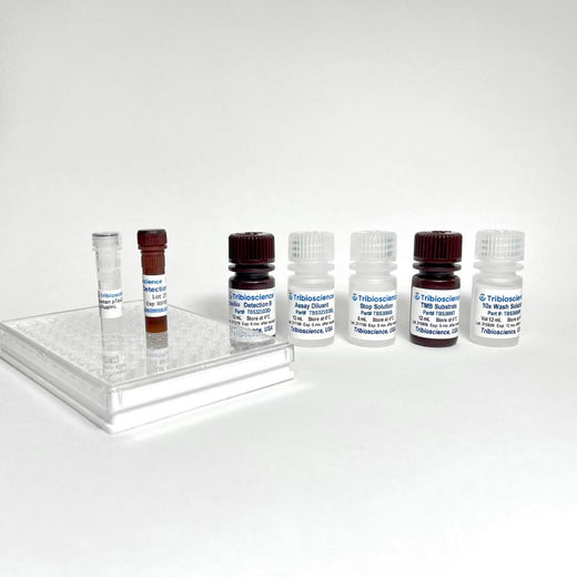 Human Vinculin ELISA Kit