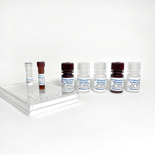 Human UCHL1/PGP9.5 ELISA One-Step Kit