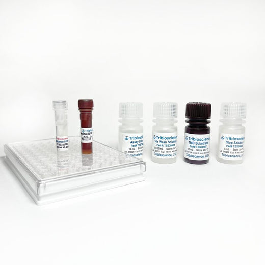 Human AFP ELISA One-Step Kit