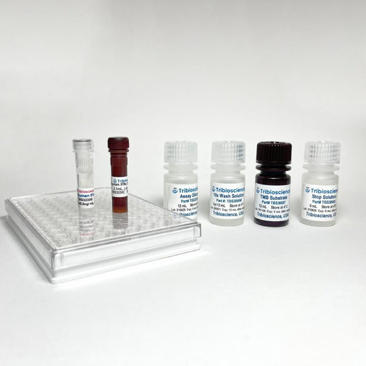 Human IFN-Gamma ELISA One-Step Kit