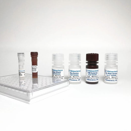 Human Glucagon ELISA One-Step Kit
