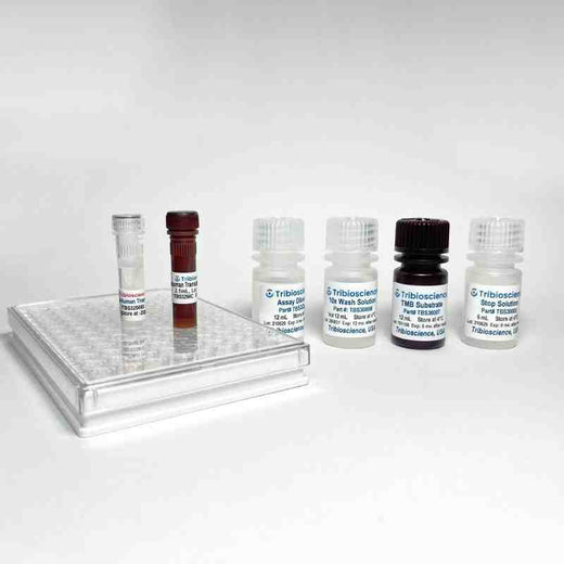 Human Transferrin Fast ELISA One-Step Kit