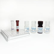 Human Testosterone Fast ELISA Kit