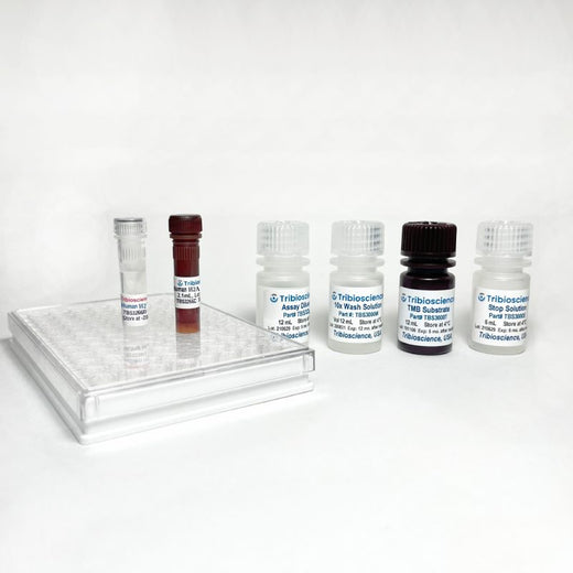 Human Total-H2AX Fast ELISA One-Step Kit