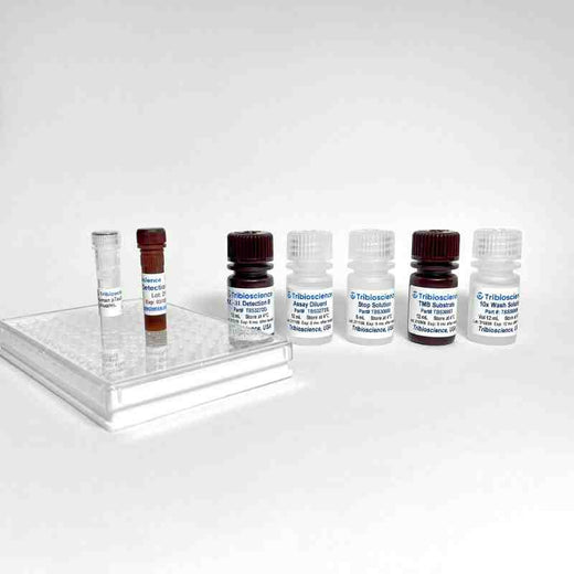 Human IL-31 ELISA Kit