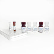 Luteinizing Hormone α / LH-α ELISA One-Step Kit