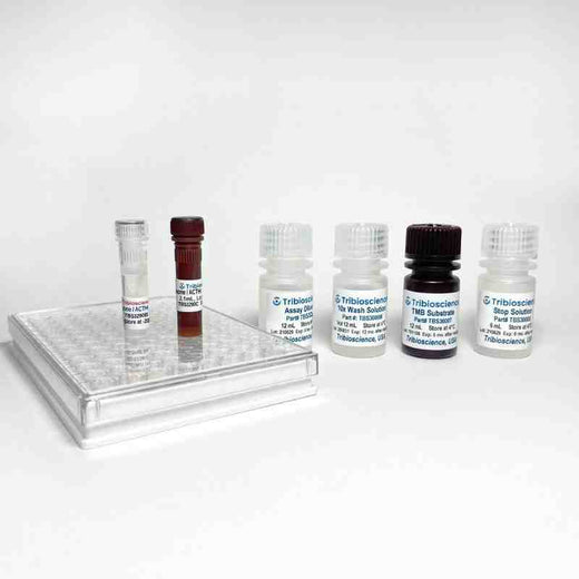 Adrenocorticotropic Hormone / ACTH ELISA One-Step Kit