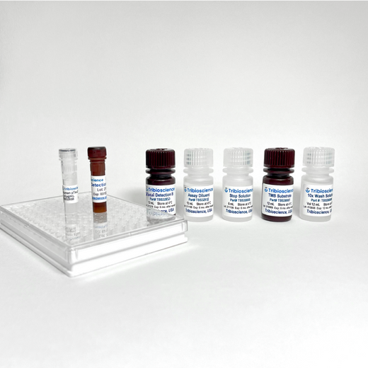 Human MAPT/Tau (total) ELISA One-Step Kit
