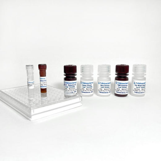 Human Amyloid Beta 42 / Aβ42 ELISA One-Step Kit