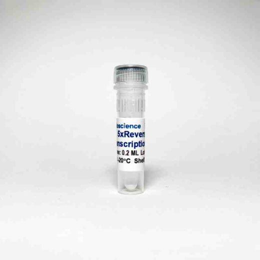 5x All-in-One Reverse Transcription Kit