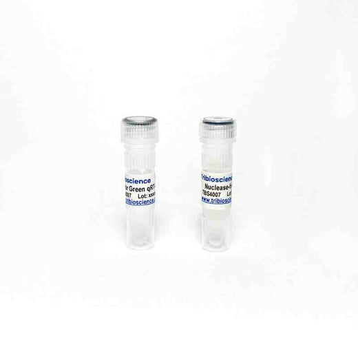 One-Step Sybr qRT-PCR Detection Kit