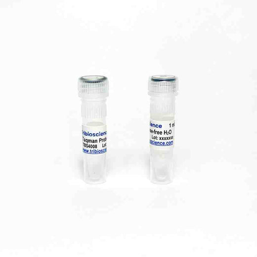 One-Step TaqProbe qRT-PCR Kit