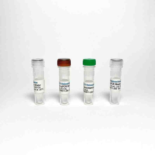 Probe qPCR Master Mix Detection Kit