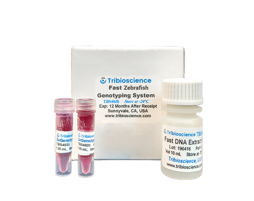 Zebrafish Fast Genotyping System