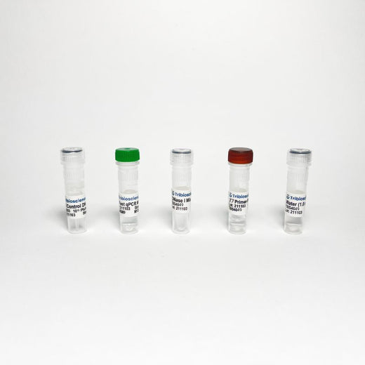T7 Phage/Bacteriophage qPCR Titer Detection Kit